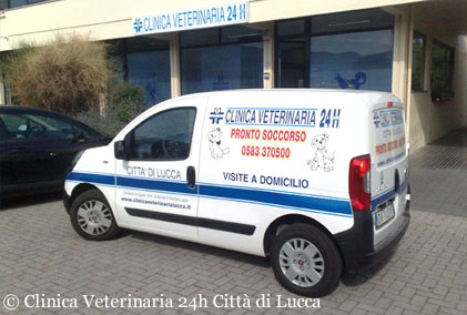 Toskana Spezial Urlaub mit Hund Vorbeugen von Krankheiten Hundeklinik
