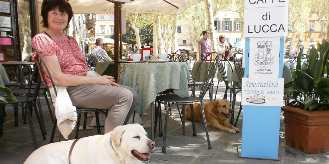 Restaurant mit Hund in der Toskana